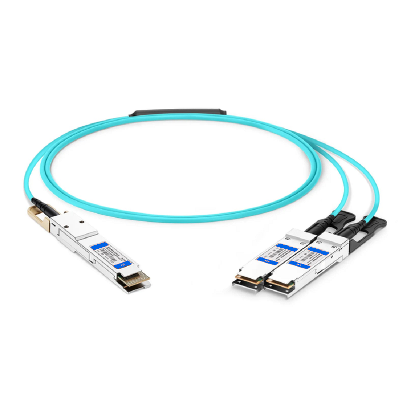 SFPS 30m (98ft) Generic Compatible 200G QSFP56 4 x 50G PAM4 to 2 x 100G QSFP28 4 x 25G NRZ Active Optical Breakout Cable