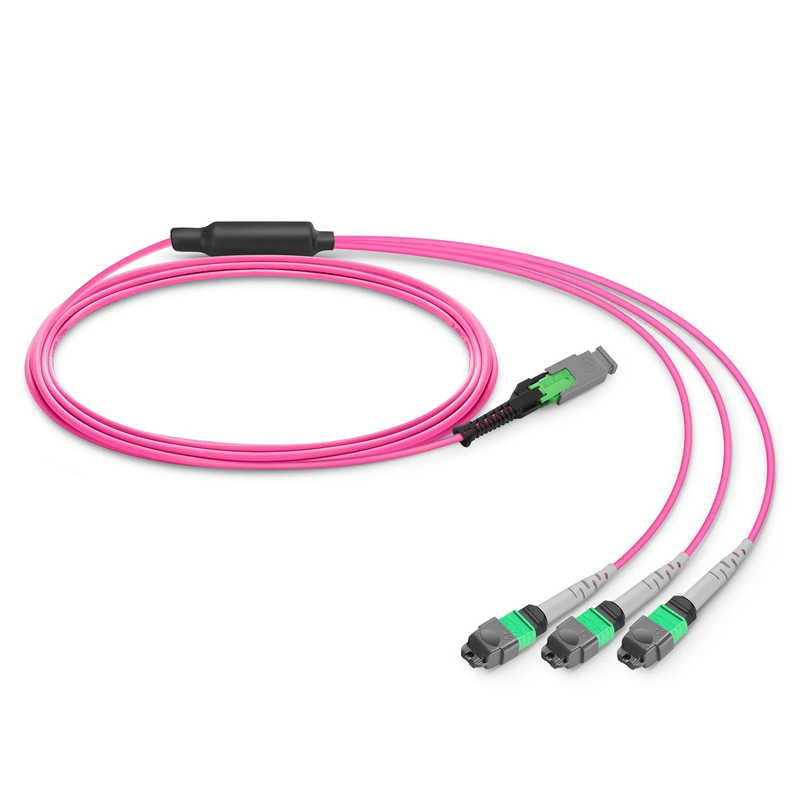 SFPS 1m (3ft) MMC Breakout Cable, MMC-24 APC (Female) to 3 x MTP®-8 APC (Female), 24 Fibers, Multimode (OM4), Plenum (OFNP), 0.35dB Max, Jumper Polarity, Magenta