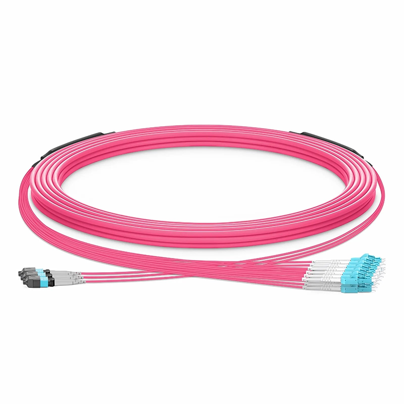 SFPS 30m (98ft) MTP® Hybrid Trunk Cable, MTP®-8 UPC (Female) to 4 LC UPC Duplex Uniboot, 24 Fibers, Multimode (OM4), Plenum (OFNP), 0.20dB Max, Type B, Double Jacket, Magenta