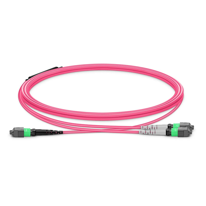 SFPS 1m (3ft) MTP® Breakout Cable, MTP®-16 APC (Female) to 2 x MTP®-8 APC (Female), 16 Fibers, Multimode (OM4), Dual Rated (OFNR/LSZH), 0.35dB Max, Crossover, Magenta