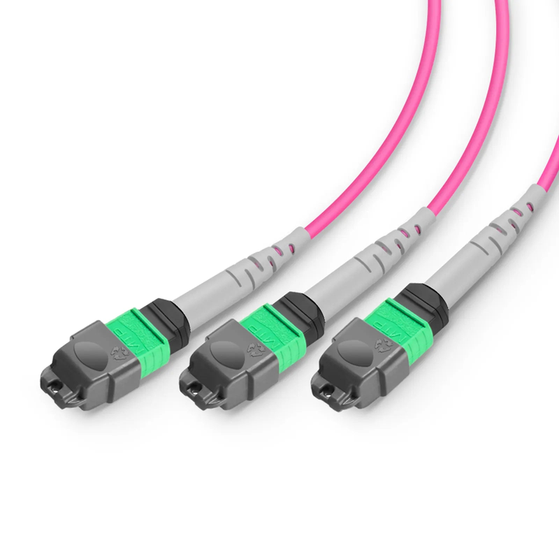 SFPS 2m (7ft) MMC Breakout Cable, MMC-24 APC (Female) to 3 x MTP®-8 APC (Female), 24 Fibers, Multimode (OM4), Plenum (OFNP), 0.35dB Max, Jumper Polarity, Magenta