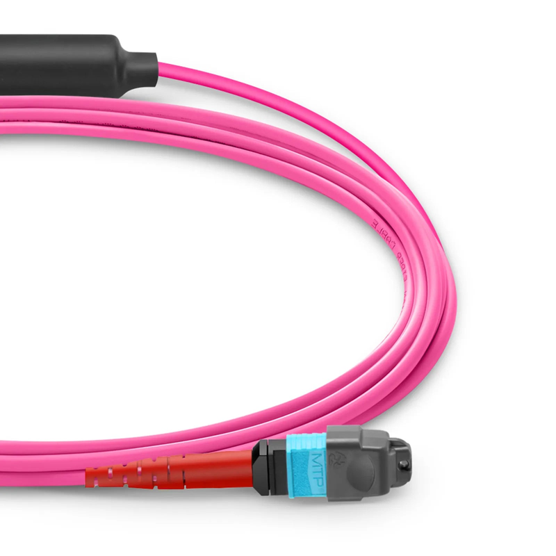 SFPS 1m (3ft) MTP® Breakout Cable, MTP®-24 UPC (Female) to 2 x MTP®-12 UPC (Female), 24 Fibers, Multimode (OM4), Plenum (OFNP), 0.35dB Max, Type A, Magenta