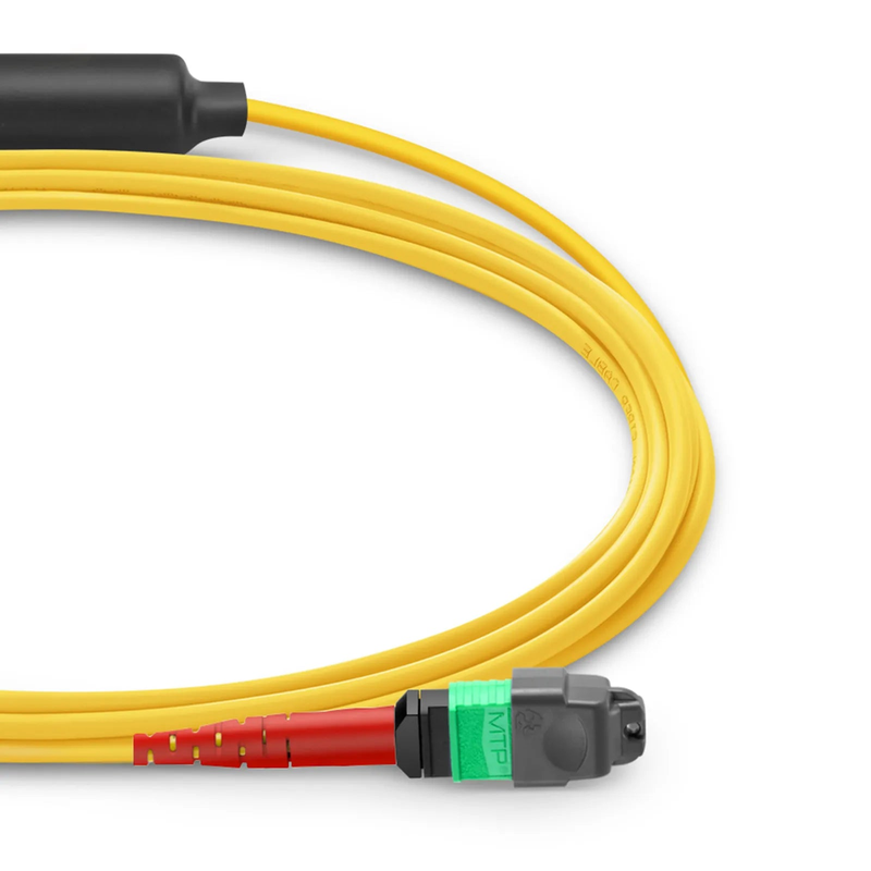 SFPS 5m (16ft) MTP® Breakout Cable, MTP®-24 APC (Female) to 2 x MTP®-12 APC (Female), 24 Fibers, Single Mode (OS2), Plenum (OFNP), 0.35dB Max, Type A, Yellow
