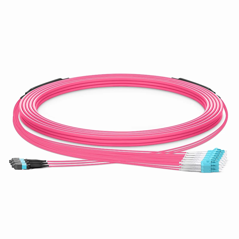 SFPS 30m (98ft) MTP® Hybrid Trunk Cable, MTP®-12 UPC (Female) to 6 LC UPC Duplex Uniboot, 36 Fibers, Multimode (OM4), Plenum (OFNP), 0.20dB Max, Type B, Double Jacket, Magenta