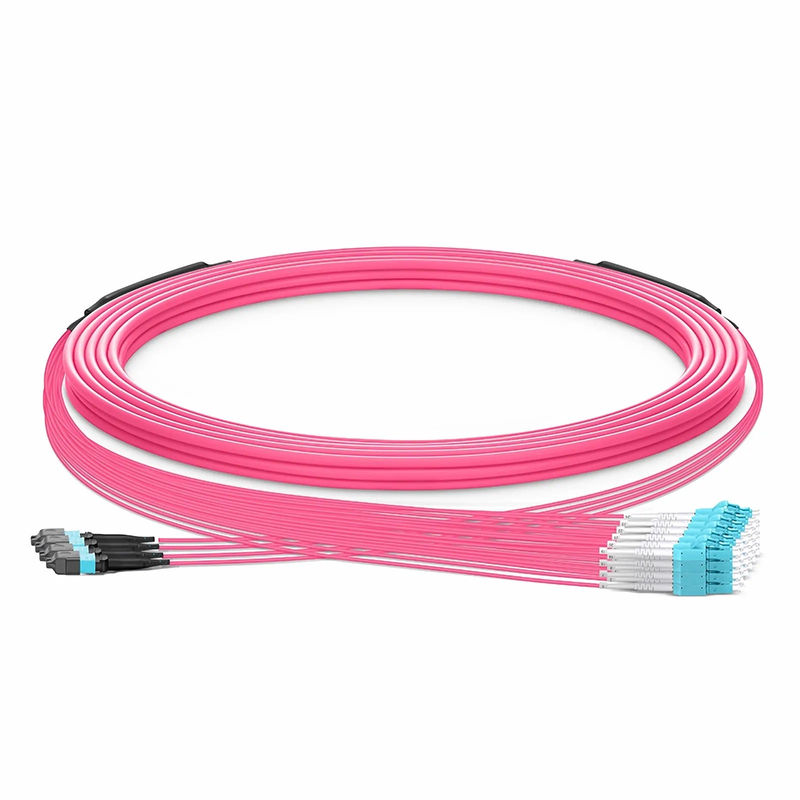 SFPS 30m (98ft) MTP® Hybrid Trunk Cable, MTP®-12 UPC (Female) to 6 LC UPC Duplex Uniboot, 48 Fibers, Multimode (OM4), Plenum (OFNP), 0.20dB Max, Type B, Double Jacket, Magenta