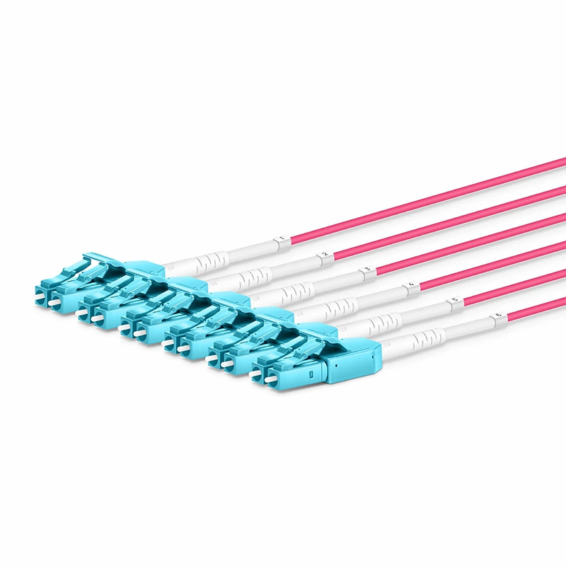 SFPS 30m (98ft) MTP® Hybrid Trunk Cable, MTP®-12 UPC (Female) to 6 LC UPC Duplex Uniboot, 48 Fibers, Multimode (OM4), Plenum (OFNP), 0.20dB Max, Type B, Double Jacket, Magenta