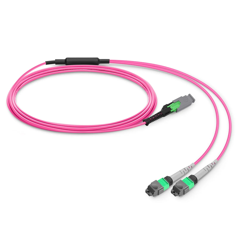 SFPS 3m (10ft) MMC Breakout Cable, MMC-16 APC (Female) to 2 x MTP®-8 APC (Female), 16 Fibers, Multimode (OM4), Plenum (OFNP), 0.35dB Max, Jumper Polarity, Magenta