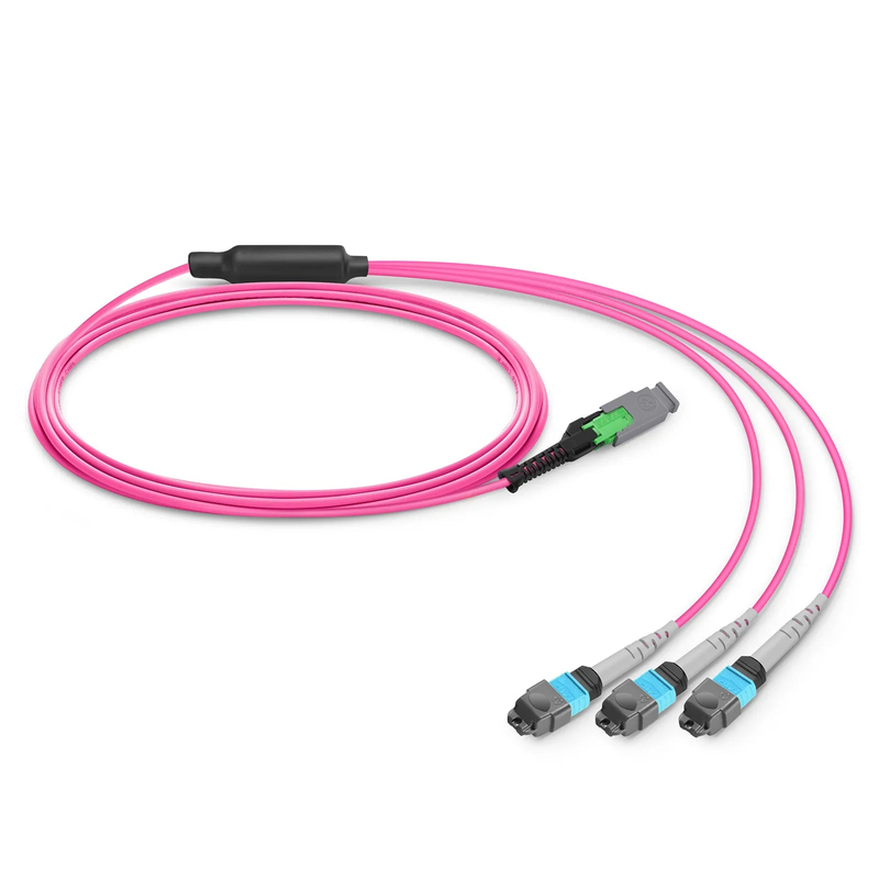 SFPS 1m (3ft) MMC Breakout Cable, MMC-24 APC (Female) to 3 x MTP®-8 UPC (Female), 24 Fibers, Multimode (OM4), Plenum (OFNP), 0.35dB Max, Jumper Polarity, Magenta