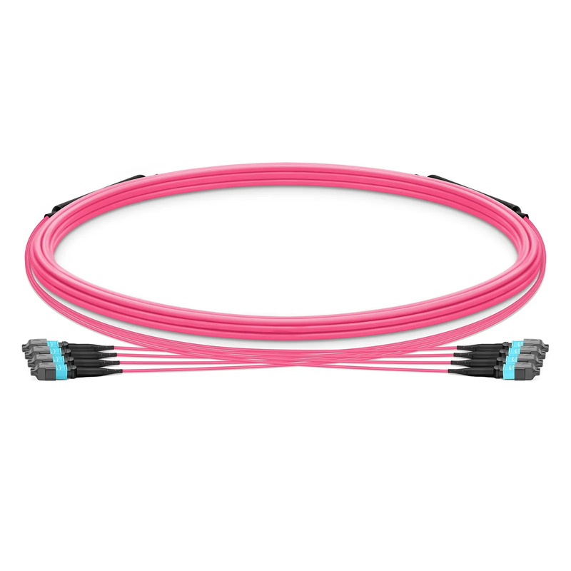 SFPS 5m (16ft) MTP® Trunk Cable, MTP®-12 UPC (Female) to MTP®-12 UPC (Female), 48 Fibers, Multimode (OM4), Plenum (OFNP), 0.20dB Max, Type B, Double Jacket, Magenta