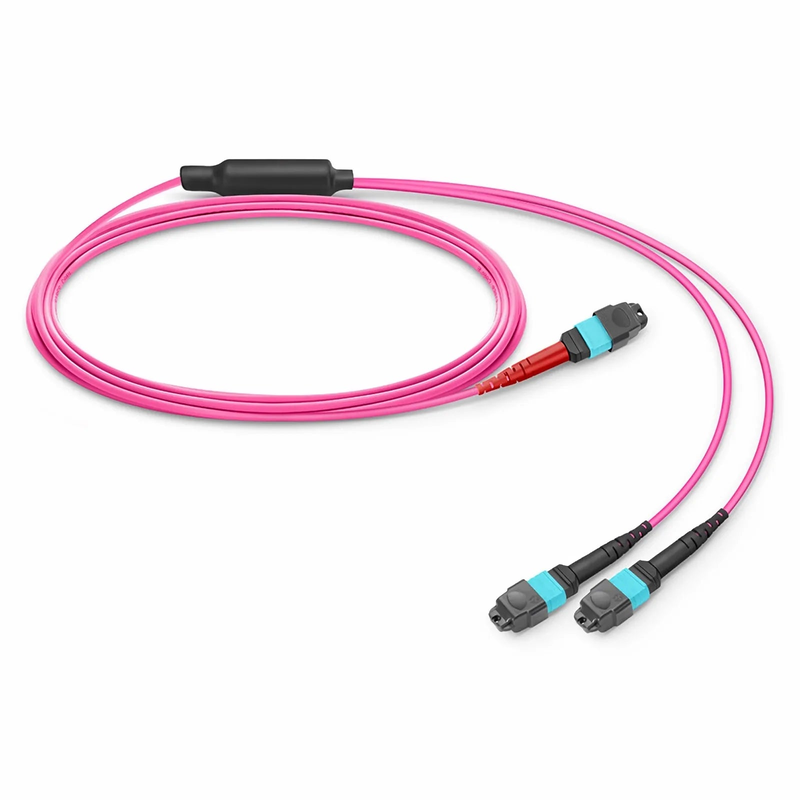 SFPS 5m (16ft) MTP® Breakout Cable, MTP®-24 UPC (Female) to 2 x MTP®-12 UPC (Female), 24 Fibers, Multimode (OM4), Plenum (OFNP), 0.35dB Max, Type A, Magenta