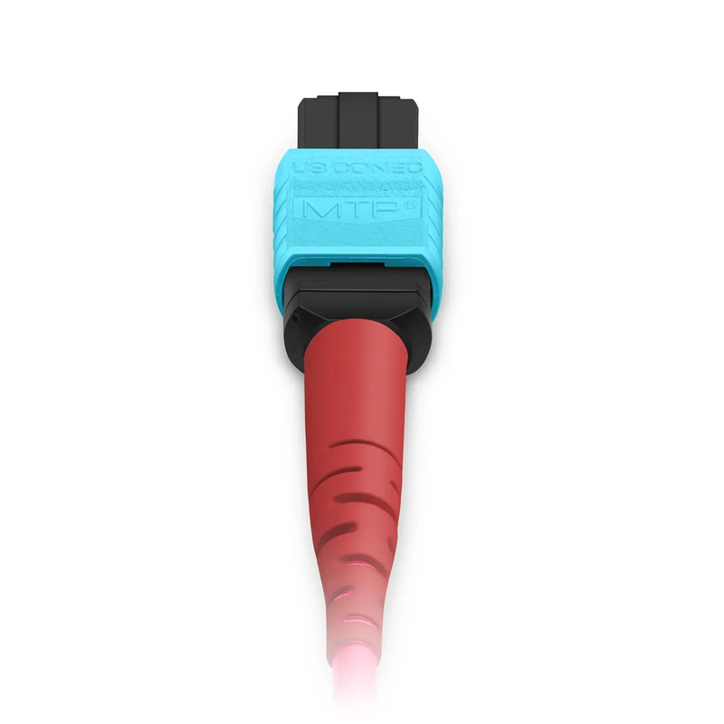 SFPS 3m (10ft) MTP® Breakout Cable, MTP®-24 UPC (Female) to 2 x MTP®-12 UPC (Female), 24 Fibers, Multimode (OM4), Plenum (OFNP), 0.35dB Max, Type A, Magenta