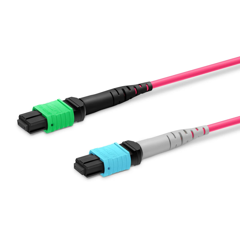 SFPS 1m (3ft) MTP® Breakout Cable, MTP®-16 APC (Female) to 2 x MTP®-8 UPC (Female), 16 Fibers, Multimode (OM4), Plenum (OFNP), 0.35dB Max, Crossover, Magenta
