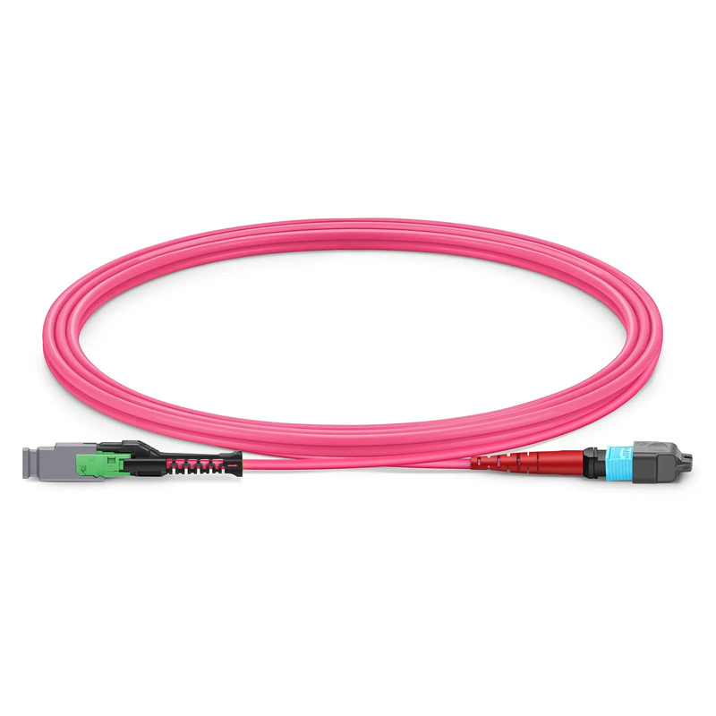 SFPS 2m (7ft) MMC Jumper, MMC-24 APC (Female) to MTP®-24 UPC (Female), 24 Fibers, Multimode (OM4), Plenum (OFNP), 0.35dB Max, Jumper Polarity, Magenta
