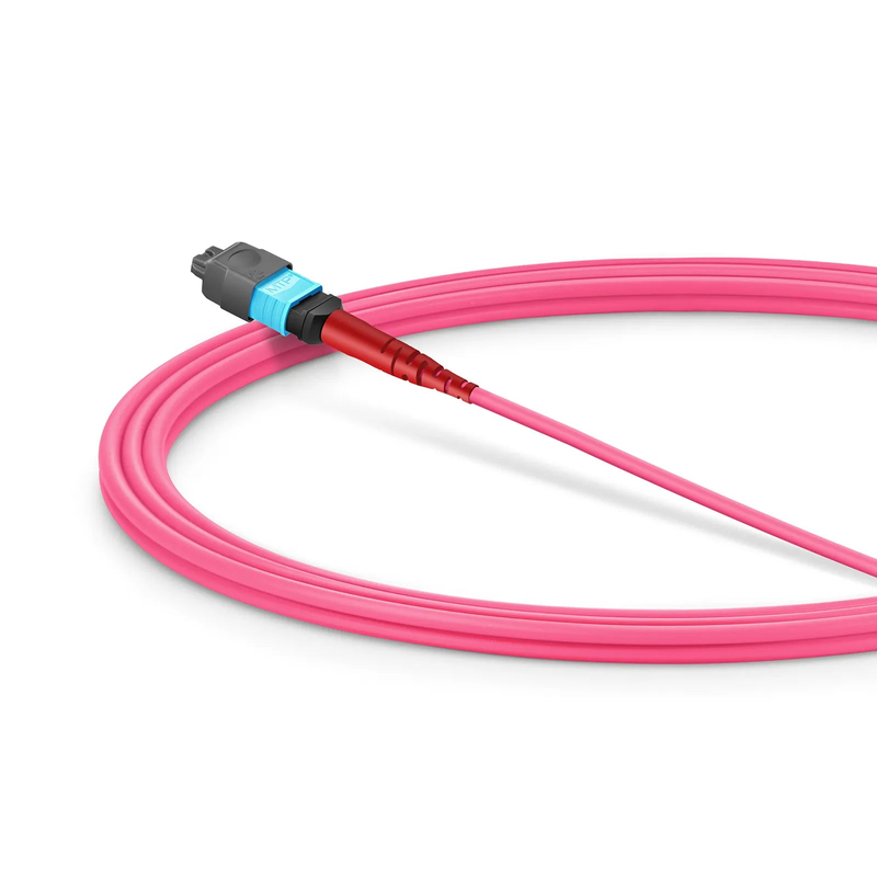 SFPS 2m (7ft) MMC Jumper, MMC-24 APC (Female) to MTP®-24 UPC (Female), 24 Fibers, Multimode (OM4), Plenum (OFNP), 0.35dB Max, Jumper Polarity, Magenta