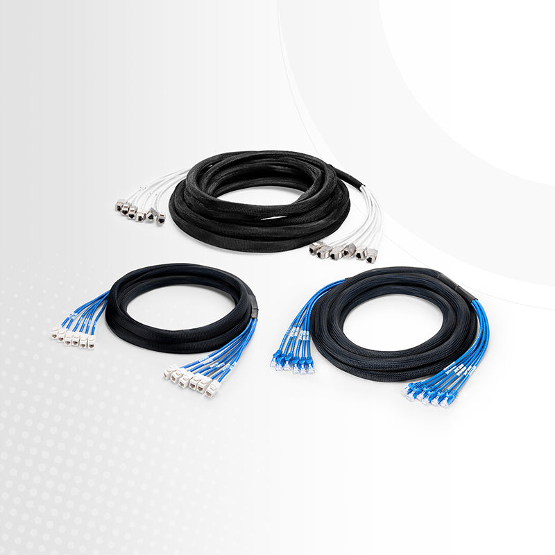 SFPS 23ft (7m) 6 Jack to 6 Jack Cat6 Unshielded (UTP) PVC CMR Blue Pre-Terminated Copper Trunk Cable