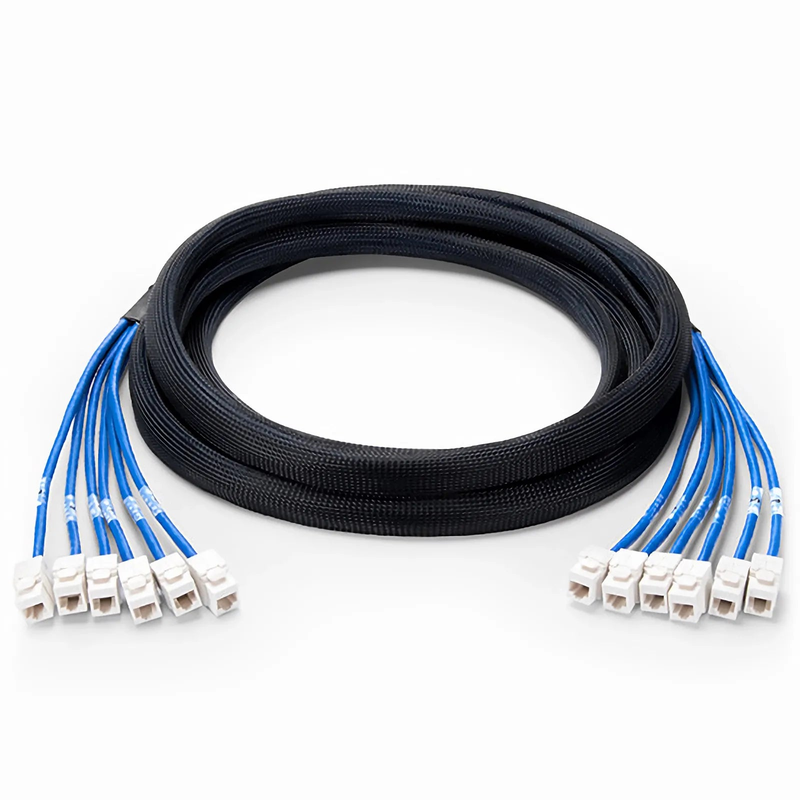 SFPS 23ft (7m) 6 Jack to 6 Jack Cat6 Unshielded (UTP) PVC CMR Blue Pre-Terminated Copper Trunk Cable