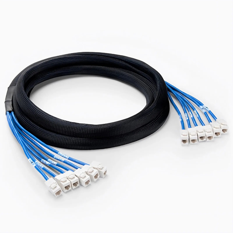 SFPS 16ft (4.9m) 6 Jack to 6 Jack Cat6 Unshielded (UTP) PVC CMR Blue Pre-Terminated Copper Trunk Cable