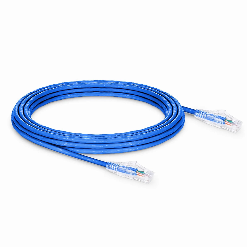 SFPS 25ft (7.6m) Cat5e Snagless Unshielded (U/UTP) PVC CM Ethernet Patch Cable, Blue