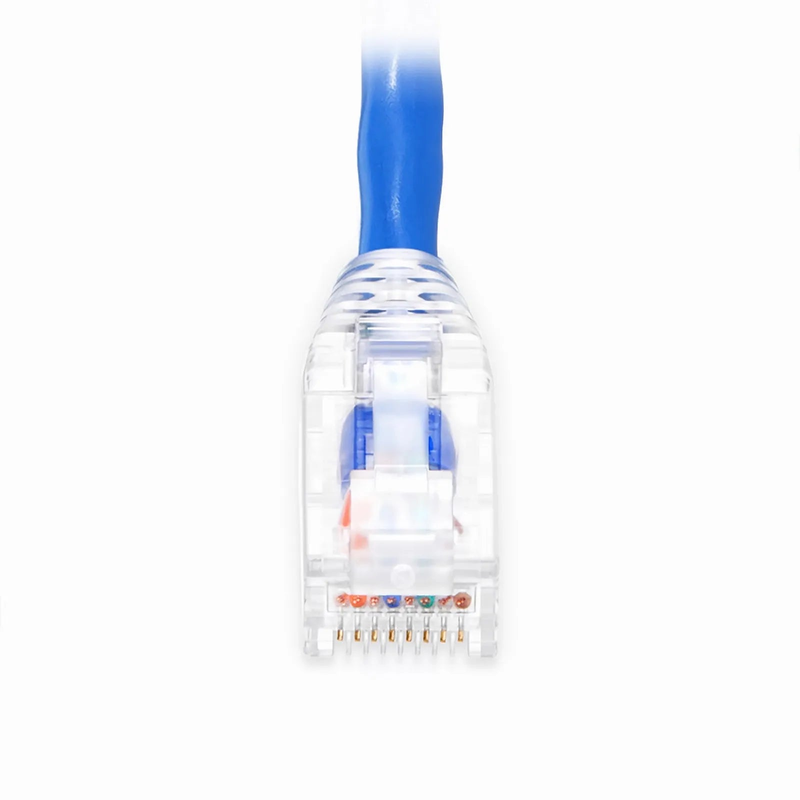 SFPS 25ft (7.6m) Cat5e Snagless Unshielded (U/UTP) PVC CM Ethernet Patch Cable, Blue