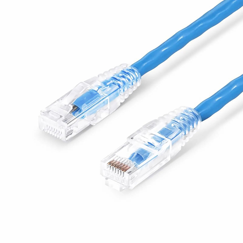 SFPS 25ft (7.6m) Cat6 23AWG Snagless Unshielded (U/UTP) PVC CMP Ethernet Network Patch Cable, Blue