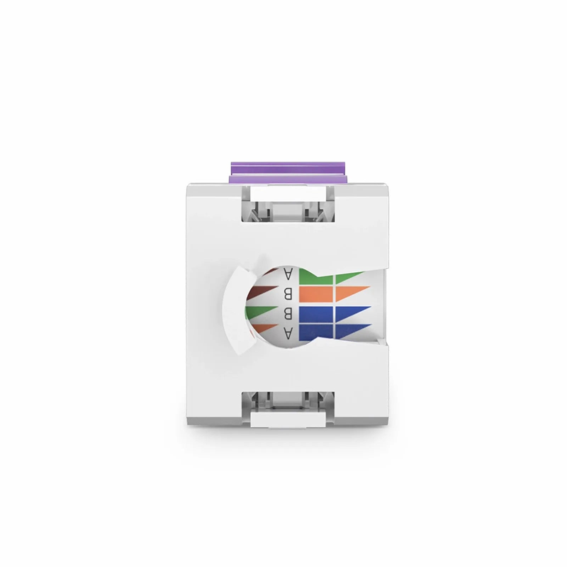 SFPS Cat6 RJ45 (8P8C) Unshielded Punch Down Keystone Jack Module, Purple (10 pcs/Pack)