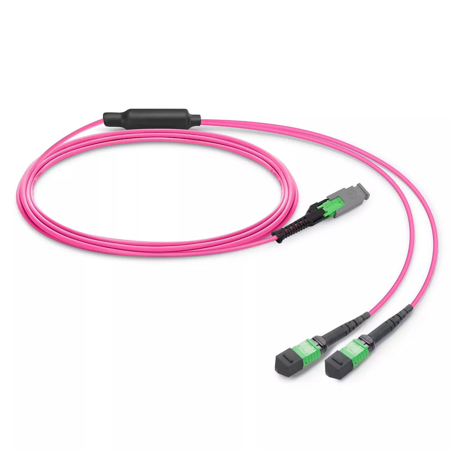 2m (7ft) MMC Breakout Cable, MMC-16 APC (Female) to 2 x MPO-8 APC (Female), 16 Fibers, Multimode (OM4), Jumper Polarity, OFNP, 2.5mm, Max IL ≤ 0.35dB, Magenta SFPS