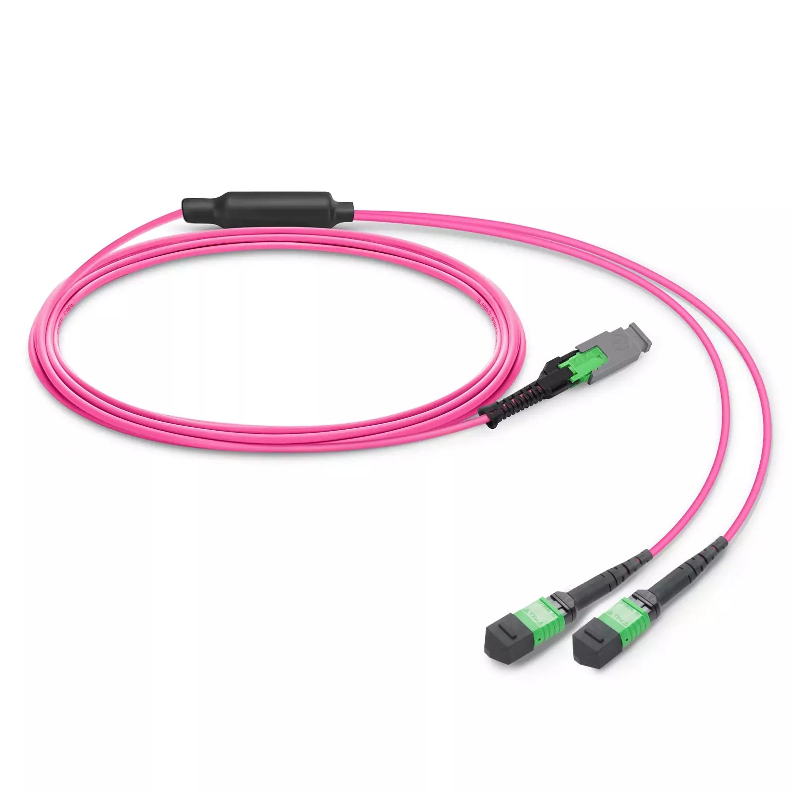 20m (66ft) MMC Breakout Cable, MMC-16 APC (Female) to 2 x MPO-8 APC (Female), 16 Fibers, Multimode (OM4), Jumper Polarity, OFNP, 2.5mm, Max IL ≤ 0.35dB, Magenta SFPS