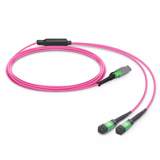 0.5m (1.6ft) MMC Breakout Cable, MMC-16 APC (Female) to 2 x MPO-8 APC (Female), 16 Fibers, Multimode (OM4), Jumper Polarity, OFNP, 2.5mm, Max IL ≤ 0.35dB, Magenta SFPS