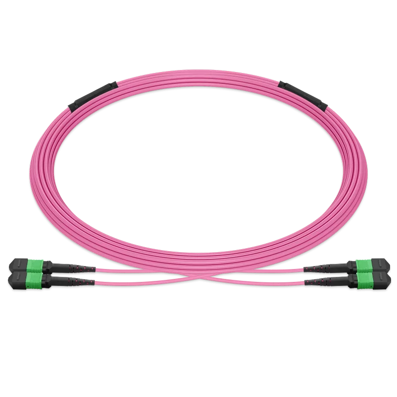 25m (82ft) Pre-terminated MPO 2x2 Shuffle Trunk Cable, 16 Fibers, 2xMPO-8 APC Male to 2xMPO-8 APC Male, Multimode (OM4), Type 2, LSZH, 0.35dB Max, Breakout 80cm, Magenta SFPS