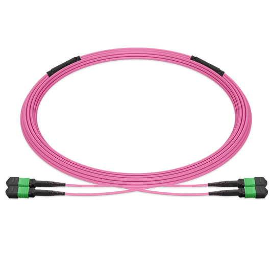 5m (16ft) Pre-terminated MPO 2x2 Shuffle Trunk Cable, 16 Fibers, 2xMPO-8 APC Male to 2xMPO-8 APC Male, Multimode (OM4), Type 2, LSZH, 0.35dB Max, Breakout 80cm, Magenta SFPS