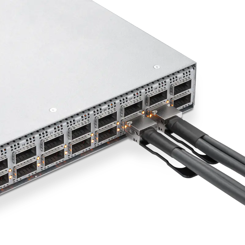 NVIDIA/Mellanox MCP1660-W001E30 Compatible DAC Cable 1m (3ft) Ethernet 400GbE QSFP-DD Passive Direct Attach Copper Twinax Cable SFPS