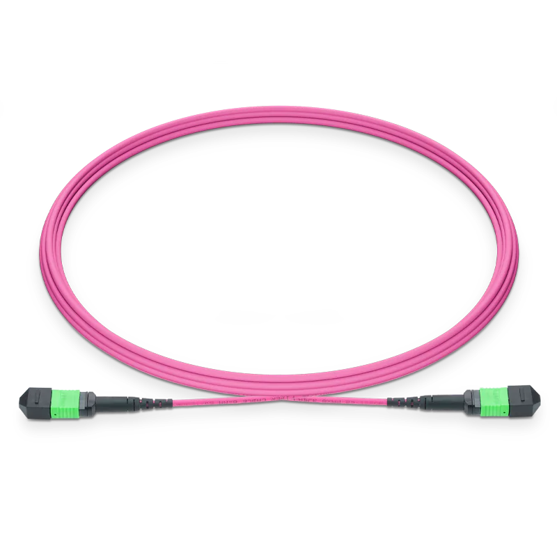 20m (66ft) MPO-16 APC (Female) to MPO-16 APC (Female) 16 Fibers Multimode (OM4) Jumper, Type B, LSZH, 3.0mm, Max IL ≤ 0.35dB, Magenta SFPS