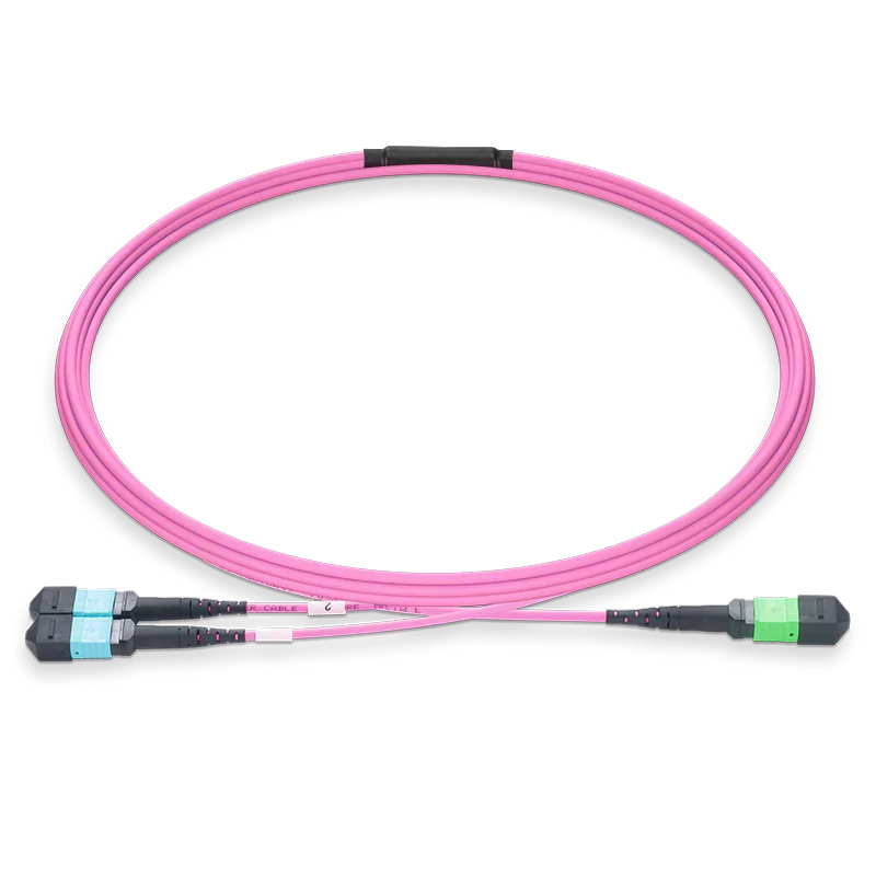 30m (98ft) MPO-16 APC (Female) to 2xMPO-8 UPC (Female) Multimode (OM4) Breakout, Type B, LSZH, 3.0mm, Max IL ≤ 0.35dB, Magenta SFPS